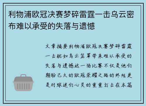 利物浦欧冠决赛梦碎雷霆一击乌云密布难以承受的失落与遗憾
