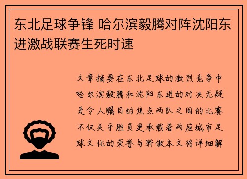 东北足球争锋 哈尔滨毅腾对阵沈阳东进激战联赛生死时速