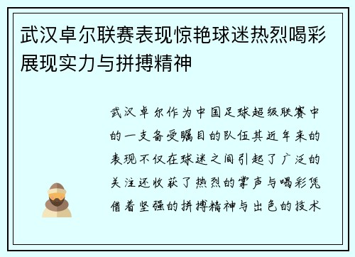 武汉卓尔联赛表现惊艳球迷热烈喝彩展现实力与拼搏精神